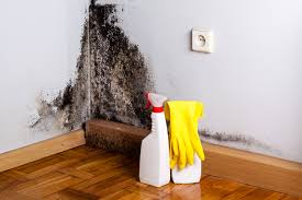 Best Residential Mold Inspection & Testing  in Cottage Grove, MN